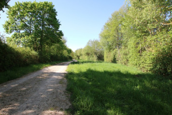 Updated Photos Of The Lake - 6