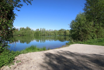 Updated Photos Of The Lake - 4