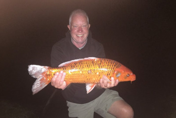 â˜…â˜…â˜… Deux Ã®les report to 9 july â˜…â˜…â˜… - 2