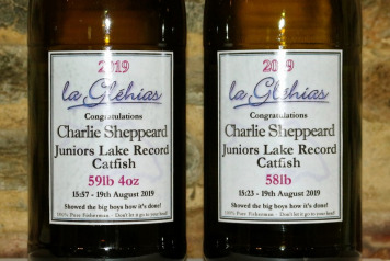 Smiling Moggy Makes Charlies Day! - 3