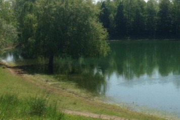 Water Levels Continuing To Drop - 4