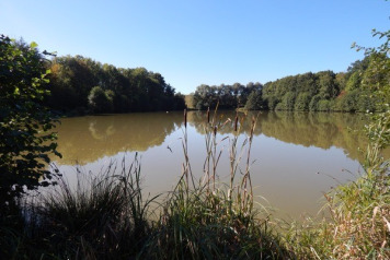 Far From The 'Madding Crowd' - 3