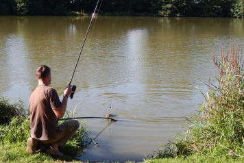 Far From The 'Madding Crowd' - 1