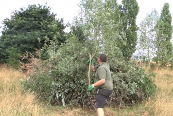 Meet the bailiff - 1