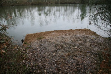 Pegs have been repaired - 5