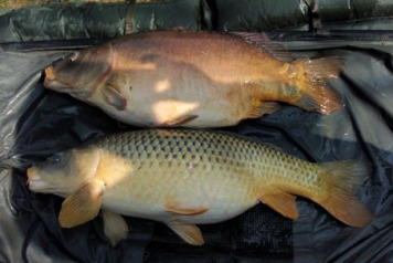 Dave gets â€˜Bracedâ€™ for New Lake Record! - 3