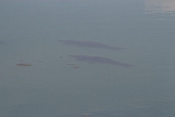 'Into The Unknown' Video & Article - 1