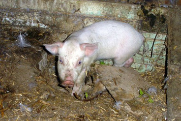 The Funniest Thing I Ever Saw at our Lakes! - 2