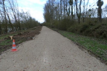 Improvements To The Swims - 5