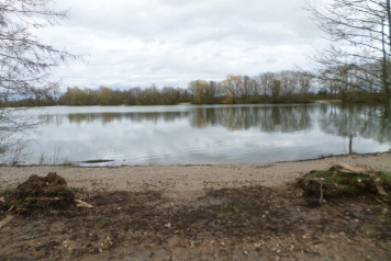 Improvements To The Swims - 3