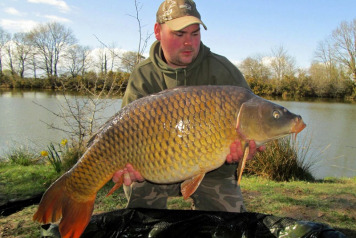 A Summary of the 2015 Season - 1