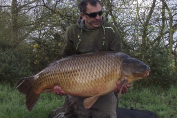 Non-Exclusive Deal - 1