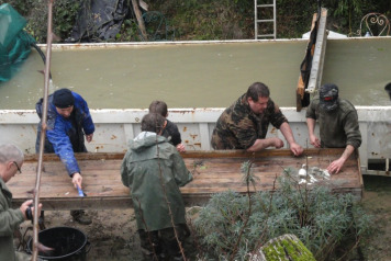 Draining of the main lake 2014 - 1