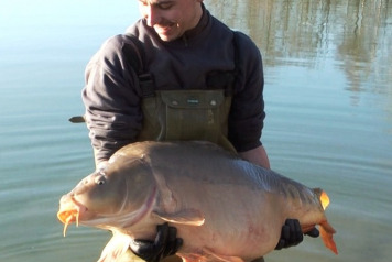 49lb mirror carp stocked - 1