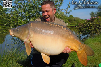 Record Number of Fish Banked in a Week!!! - 2