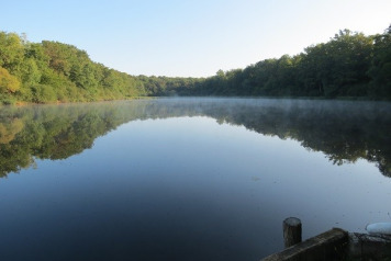 Some Useful Swim Information  - 2