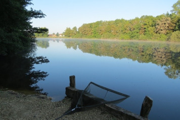 Some Useful Swim Information  - 3