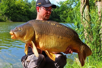 Some Great Pictures - 2