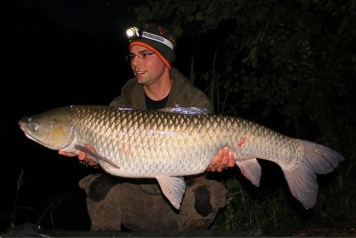 Some Great Pictures - 3