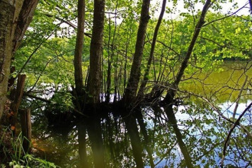 Some Great Pictures - 5