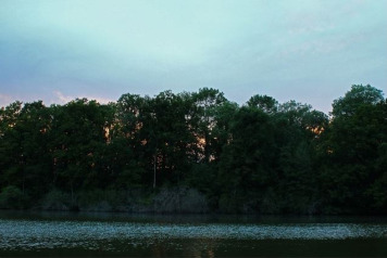 Some Great Pictures - 6