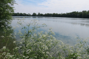 The Lake of the Giants... - 4