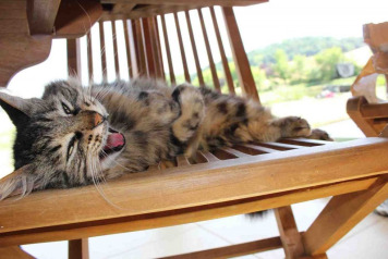 'The Perfect Getaway Holiday - With Big Fish!' - 5