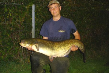 Another Fat Cat Hits the Bank!!  - 1