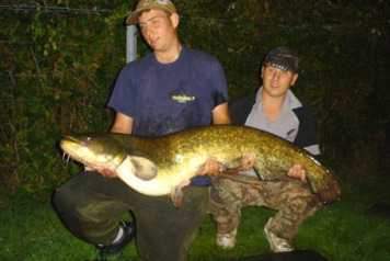 Another Fat Cat Hits the Bank!!  - 3