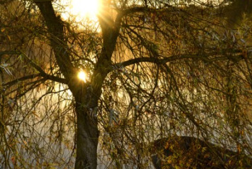 Cracking Lake Shots - 2