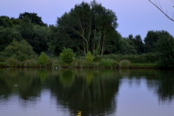 Cracking Lake Shots - 3