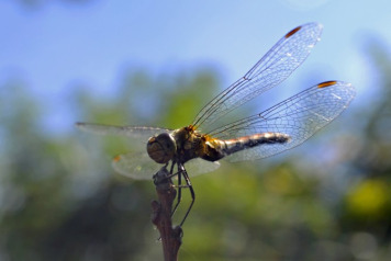 Cracking Lake Shots - 4