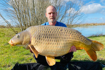 Impressive common carp - 1