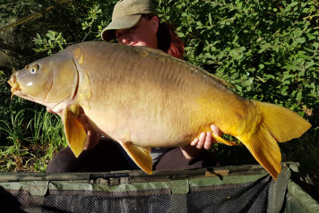 Catch report 1.8.20 to 8.8.20 - 4