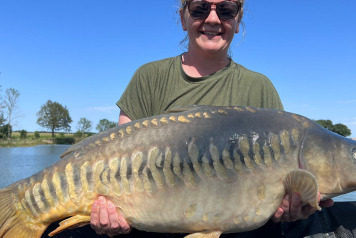 The Season So Far - 14