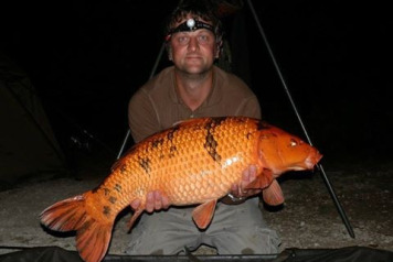 September Report - 2