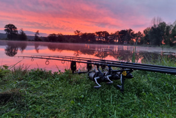 Video Diaries From Ragon This September - 4