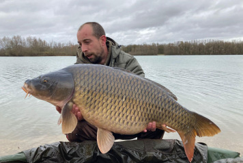 Additional commons - 5