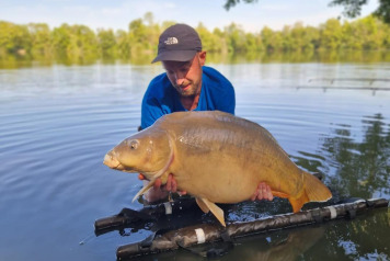 An Excellent Week - 4