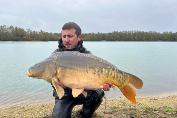 An Additional 7 Carp - 2