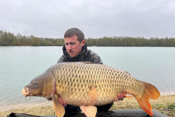 An Additional 7 Carp - 8