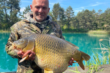 The Pick of The Bunch! - 1