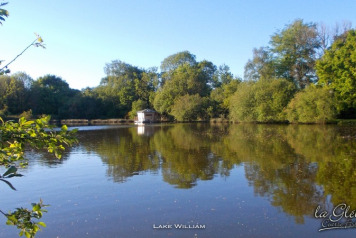 Cabin Now Moored in Stump Lagoon! - 3