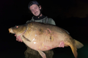 November Session - 3