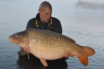 MEGA WEEK AGAIN!!! - 2