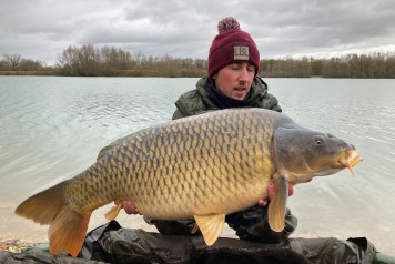 Additional commons - 3