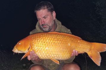 MEGA WEEK AGAIN!!! - 20