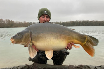 More Carp Stocked this November - 2