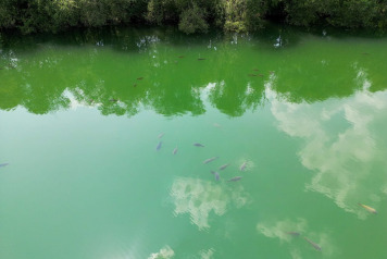 A couple of photos - 3