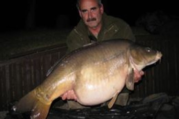 '14 & '15 Reviews - 2